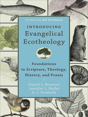 cover image of Introducing Evangelical Ecotheology